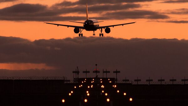 Самолет Airbus A320 авиакомпании Аэрофлот заходит на посадку в международном аэропорту Шереметьево, 2014 год - 俄罗斯卫星通讯社