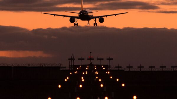 Самолет Airbus A320 авиакомпании Аэрофлот заходит на посадку в международном аэропорту Шереметьево, 2014 год - 俄罗斯卫星通讯社