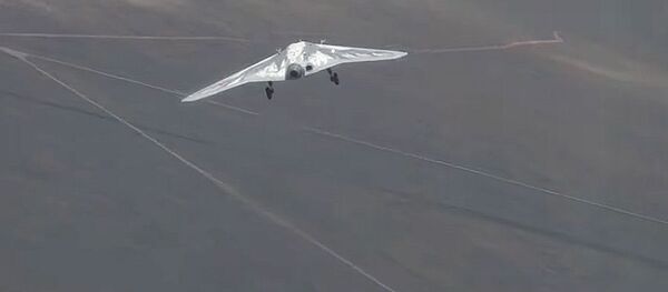 БПЛ Охотник - 俄罗斯卫星通讯社