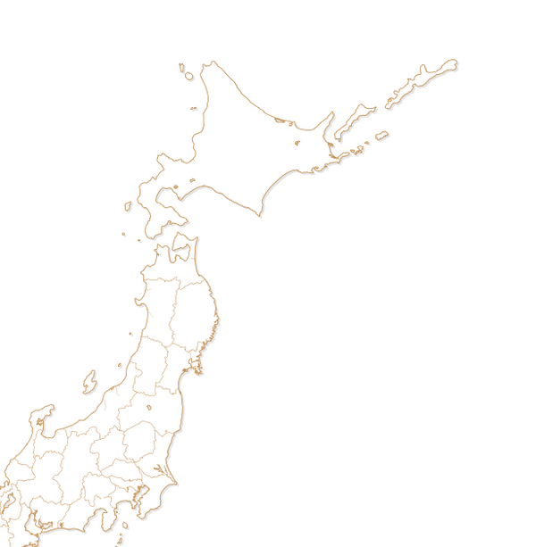 2020东京奥运会的地图将南千岛群岛标为日本领土 2020东京奥运会的地图将南千岛群岛标为日本领土 - 俄罗斯卫星通讯社