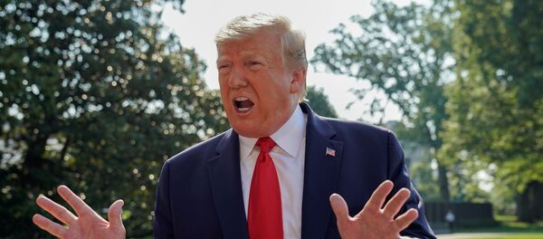 特朗普 - 俄罗斯卫星通讯社