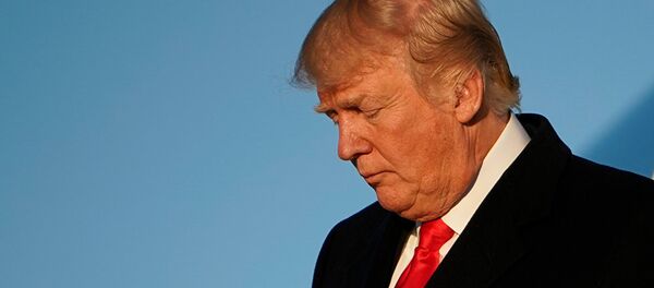 特朗普推文提到俄罗斯的频率高于其他国家 - 俄罗斯卫星通讯社