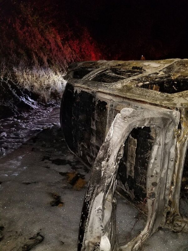 美國一頭熊從懸崖上掉下來落到警車上 - 俄羅斯衛星通訊社