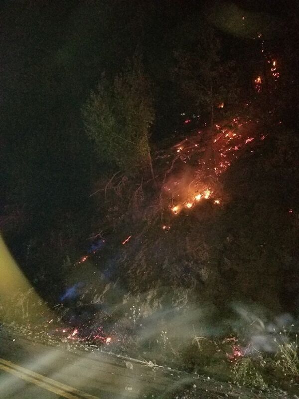 美國一頭熊從懸崖上掉下來落到警車上 - 俄羅斯衛星通訊社