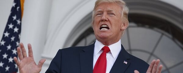 Президент США Дональд Трамп - 俄罗斯卫星通讯社