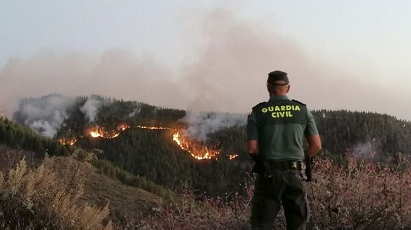 西班牙森林火灾疏散400多人 - 俄罗斯卫星通讯社