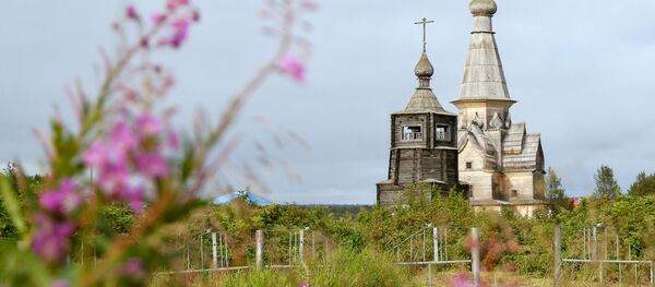 俄自然资源部将野生动物评估价值提高400倍 - 俄罗斯卫星通讯社