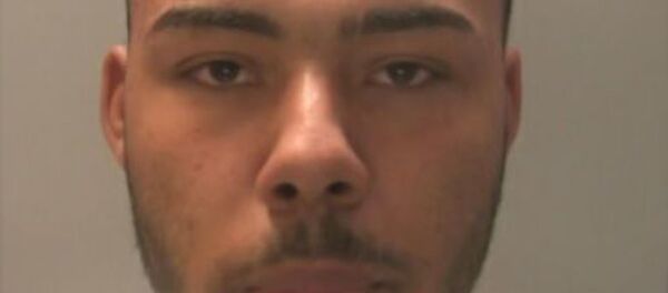 犯罪分子的搞怪髮型逗樂網民 - 俄羅斯衛星通訊社