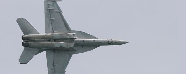 F-18 - 俄罗斯卫星通讯社
