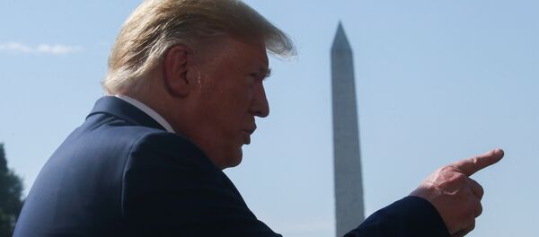 特朗普：若选民不出示身份证明 美国就不可能有安全选举 - 俄罗斯卫星通讯社