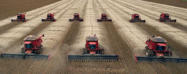 刘鹤：中国将在未来2年年均购买400亿美元美国农产品 - 俄罗斯卫星通讯社