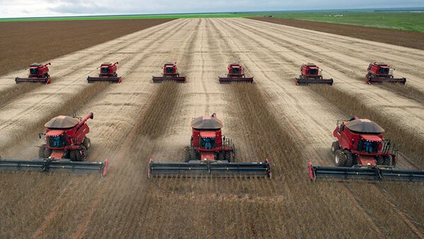 Combine harvesters crop soybeans.  - 俄羅斯衛星通訊社