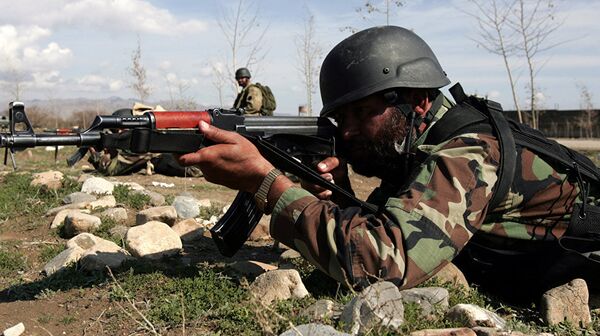 巴基斯坦军人 - 俄罗斯卫星通讯社