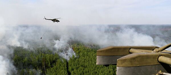 Ликвидация пожаров в Красноярском крае. - 俄罗斯卫星通讯社