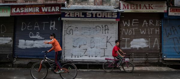 巴基斯坦就克什米尔最近的冲突对印度表示抗议 - 俄罗斯卫星通讯社