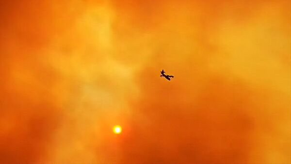 Самолет в оранжевом от пожаров небе на греческом острове Эвбея - 俄罗斯卫星通讯社