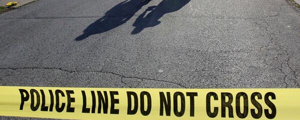 美国警察 - 俄罗斯卫星通讯社