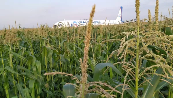 A321客機迫降致10人受傷 （視頻）
