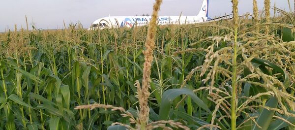 A321客机迫降致10人受伤 （视频） - 俄罗斯卫星通讯社