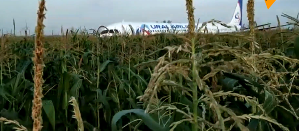 俄A321客机迫降致23伤 - 俄罗斯卫星通讯社