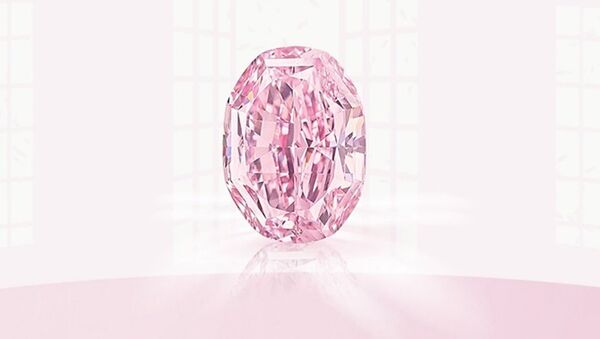 俄罗斯罕见粉钻“玫瑰花魂”估价6500万美元 - 俄罗斯卫星通讯社