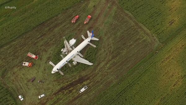 莫斯科州A321客机硬着陆事件中的受伤人数升至74人 - 俄罗斯卫星通讯社