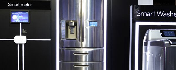 智能冰箱 - 俄罗斯卫星通讯社