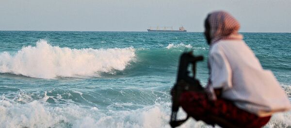 Пират - 俄罗斯卫星通讯社