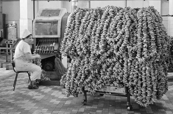 面包圈工厂。1967年。 - 俄罗斯卫星通讯社
