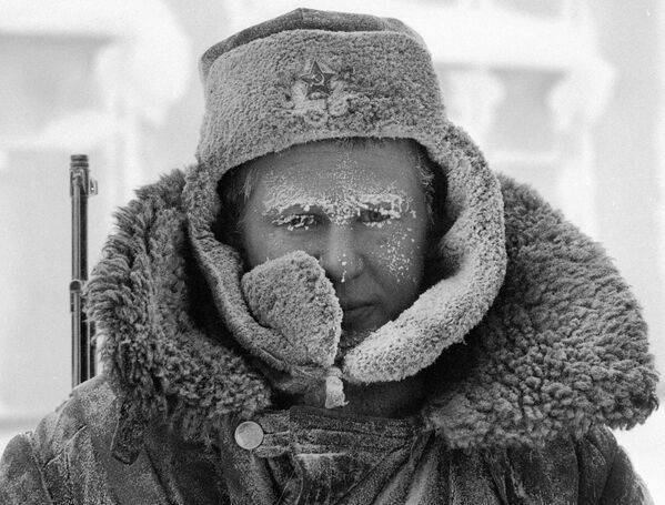 北極圈邊境的哨兵。1982年。 - 俄羅斯衛星通訊社
