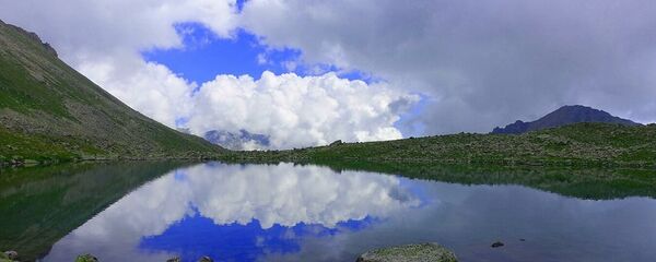俄科学家在高加索地区发现三个新物种 俄科学家在高加索地区发现三个新物种 - 俄罗斯卫星通讯社
