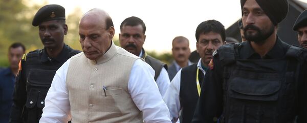 Министр внутренних дел Индии Раджнатх Сингх в Сринагаре - 俄羅斯衛星通訊社