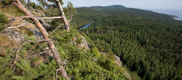 一個女孩從雅庫特50米高的愛之岩墜落後幸免於難 一個女孩從雅庫特50米高的愛之岩墜落後幸免於難 - 俄羅斯衛星通訊社