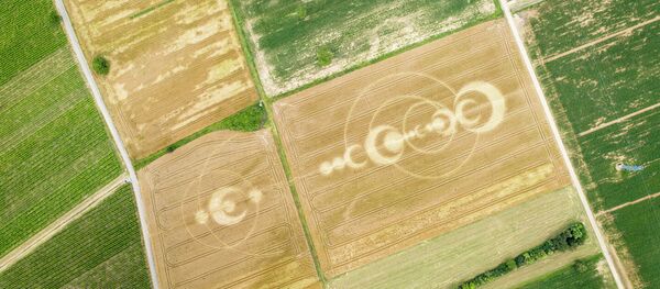 科學家查明瞭麥田怪圈形成的原因 - 俄羅斯衛星通訊社