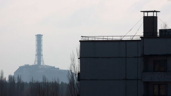 切尔诺贝尔核电站 - 俄罗斯卫星通讯社