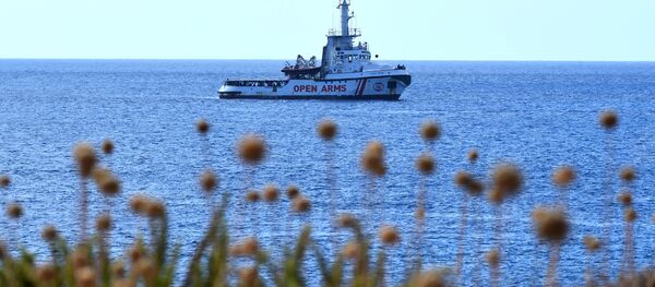 移民 移民 - 俄罗斯卫星通讯社