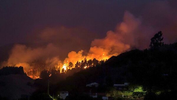 西班牙大加那利岛森林火灾 - 俄罗斯卫星通讯社