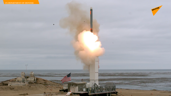 美國退出《中導條約》後測試陸基非核彈頭巡航導彈 - 俄羅斯衛星通訊社
