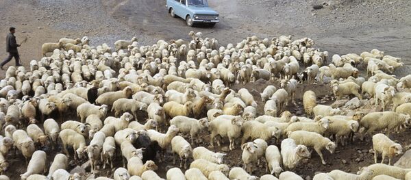 中国公司将在格鲁吉亚修建公路 造价超1亿美元 中国公司将在格鲁吉亚修建公路 造价超1亿美元 - 俄罗斯卫星通讯社