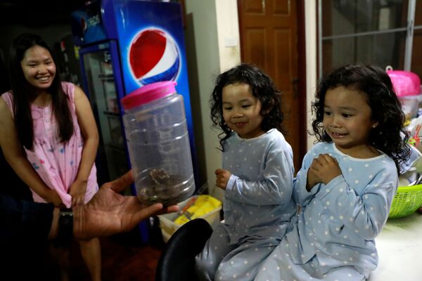 曼谷一些小女孩在看自己家中抓到的蛇。 - 俄罗斯卫星通讯社