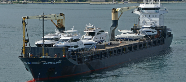 俄驻喀麦隆大使馆：有关赎买被海盗绑架俄船员的谈判可能将持续2周 - 俄罗斯卫星通讯社