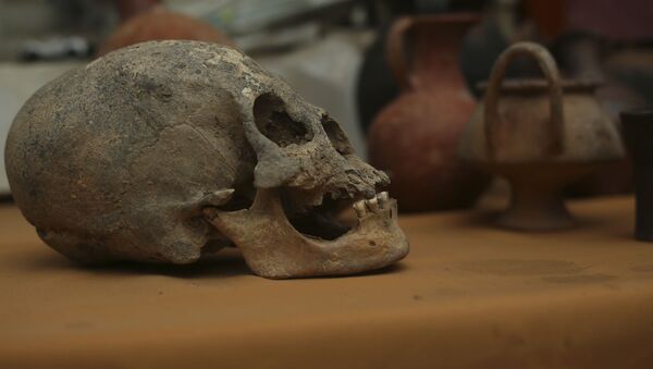 Череп из массового захоронения инков в Боливии 500-летней давности, найденного археологами - 俄羅斯衛星通訊社