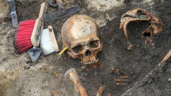 考古學家解釋克羅地亞出土的人類頭骨為何形狀怪異 - 俄羅斯衛星通訊社