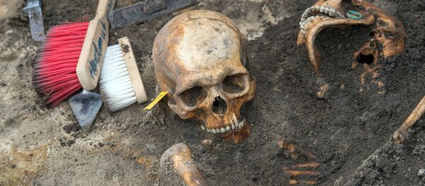 考古学家解释克罗地亚出土的人类头骨为何形状怪异 - 俄罗斯卫星通讯社
