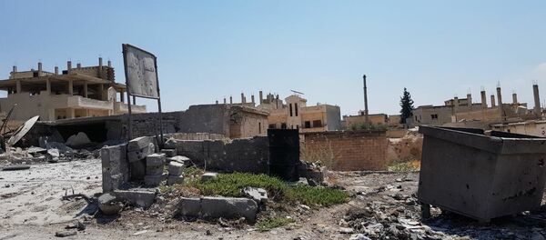 汉谢洪 - 俄罗斯卫星通讯社