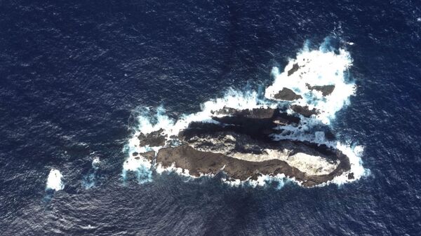 日本就中国船只驶入尖阁诸岛附近水域向中方提出抗议 - 俄罗斯卫星通讯社