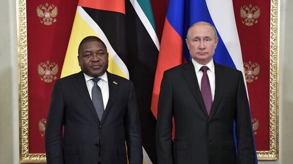 普京在會見莫桑比克總統菲利佩•紐西時 - 俄羅斯衛星通訊社