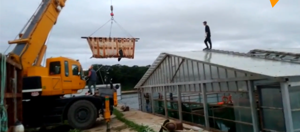 俄“鲸鱼监狱”最后一批虎鲸已被放归自然 - 俄罗斯卫星通讯社