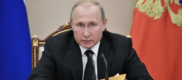 俄罗斯总统普京 - 俄罗斯卫星通讯社