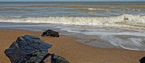 一对英国夫妇在海滨浴场发现纳粹毒胶囊 - 俄罗斯卫星通讯社